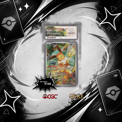 Pokemon TCG: Mystery Slab Bundle
