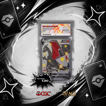 Pokemon TCG: Mystery Slab Bundle